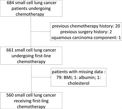 Common nutritional/inflammatory indicators are not effective tools in predicting the overall survival of patients with small cell lung cancer undergoing first-line chemotherapy